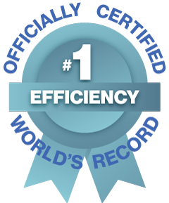 World Record Icon