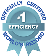 World Record Icon